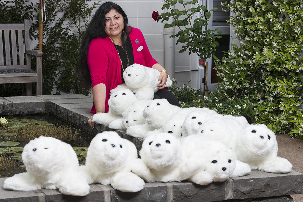 Therapeutic robotic seals (Paro) win innovation award for The Selwyn Foundation